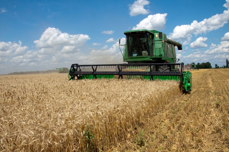 green combine harvester in field