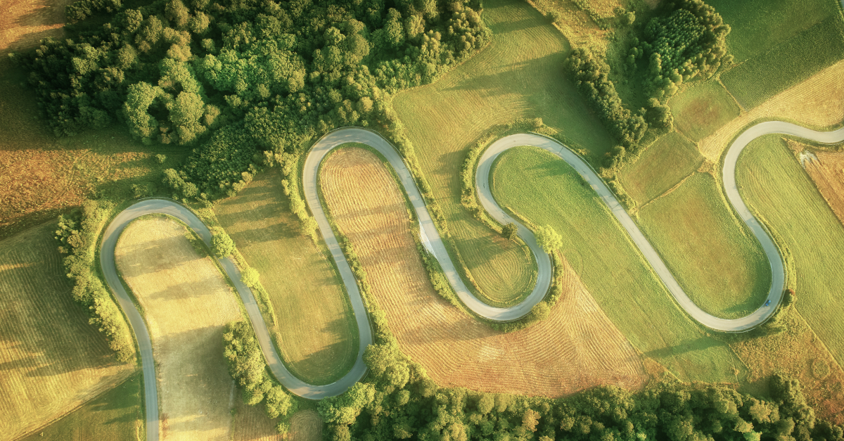 Curved road in nature