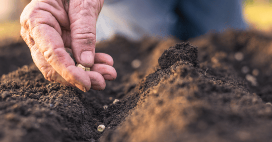 man-planting-seeds-in-soil-TARGIT