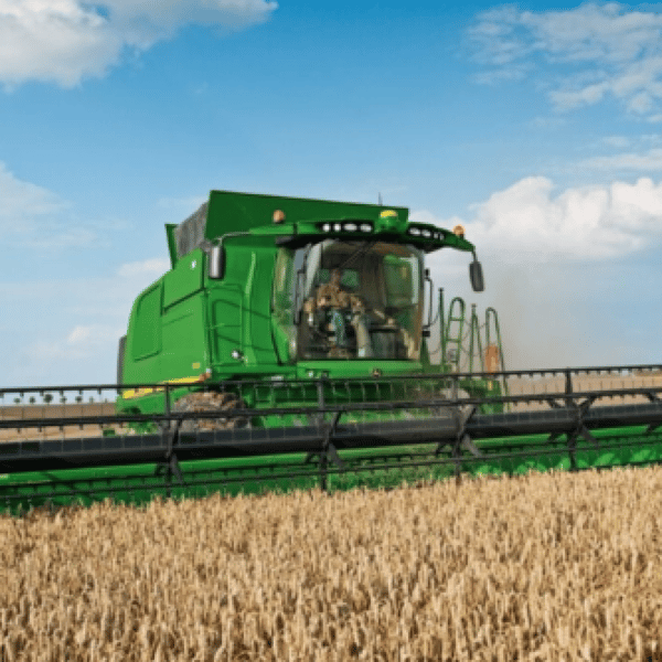 Combine harvester harvesting at field TARGIT 