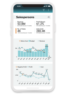 TARGIT Mobile 2023 App-1