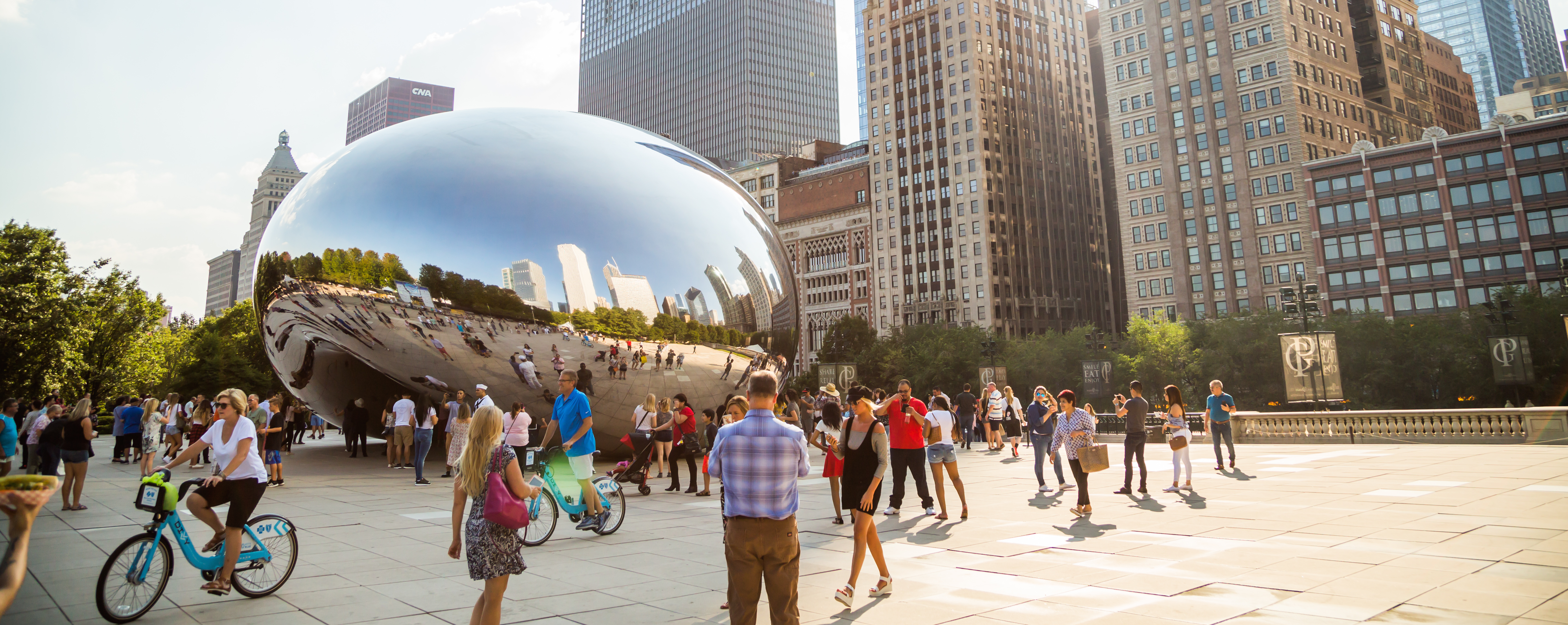 bean-header