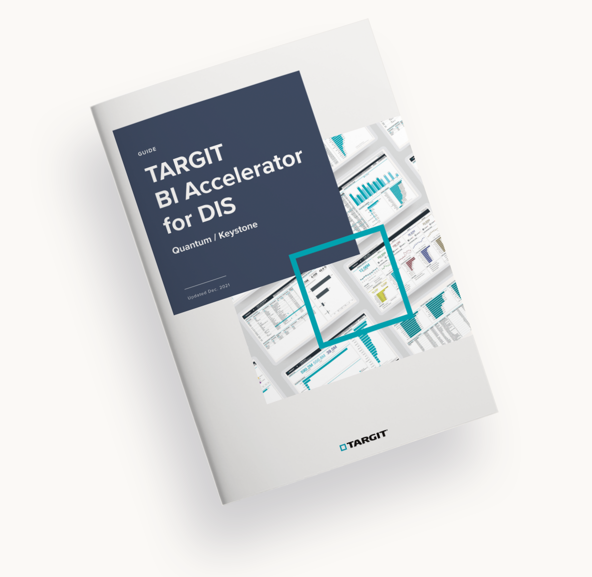 TARGIT BI Accelerator for Dealer Information Systems