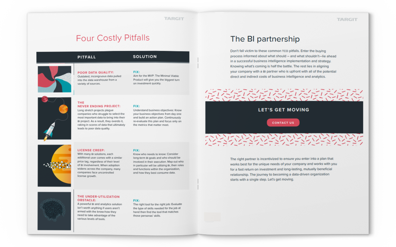 How to Optimize BI Total Cost of Ownership