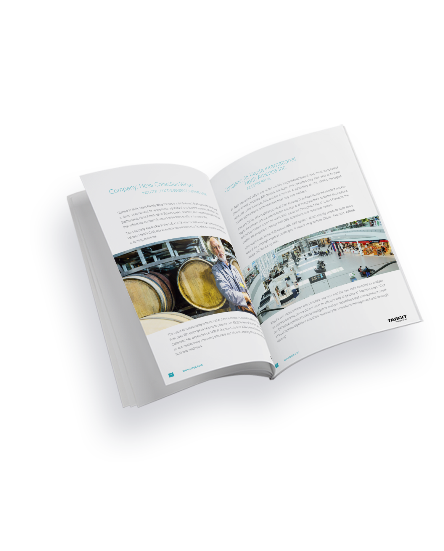 TARGIT-Decision-Suite-for-Microsoft-Dynamics-NAV-inside-look