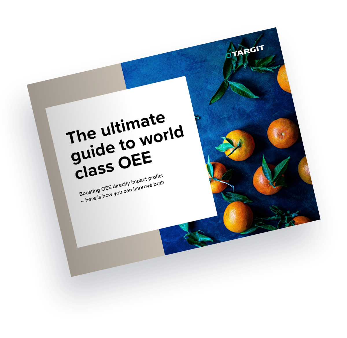The ultimate guide to world class OEE