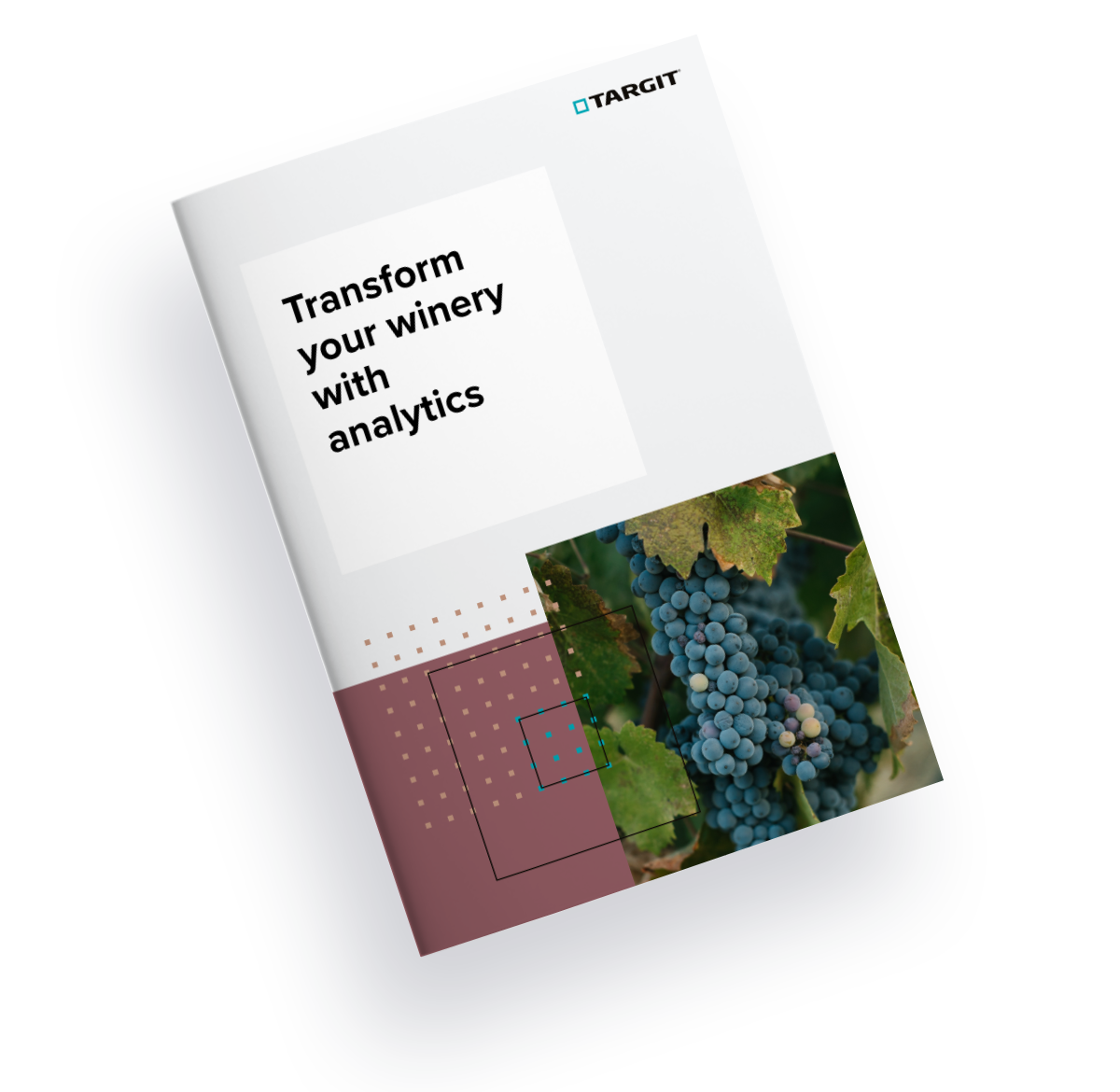 Transform your winery with analytics