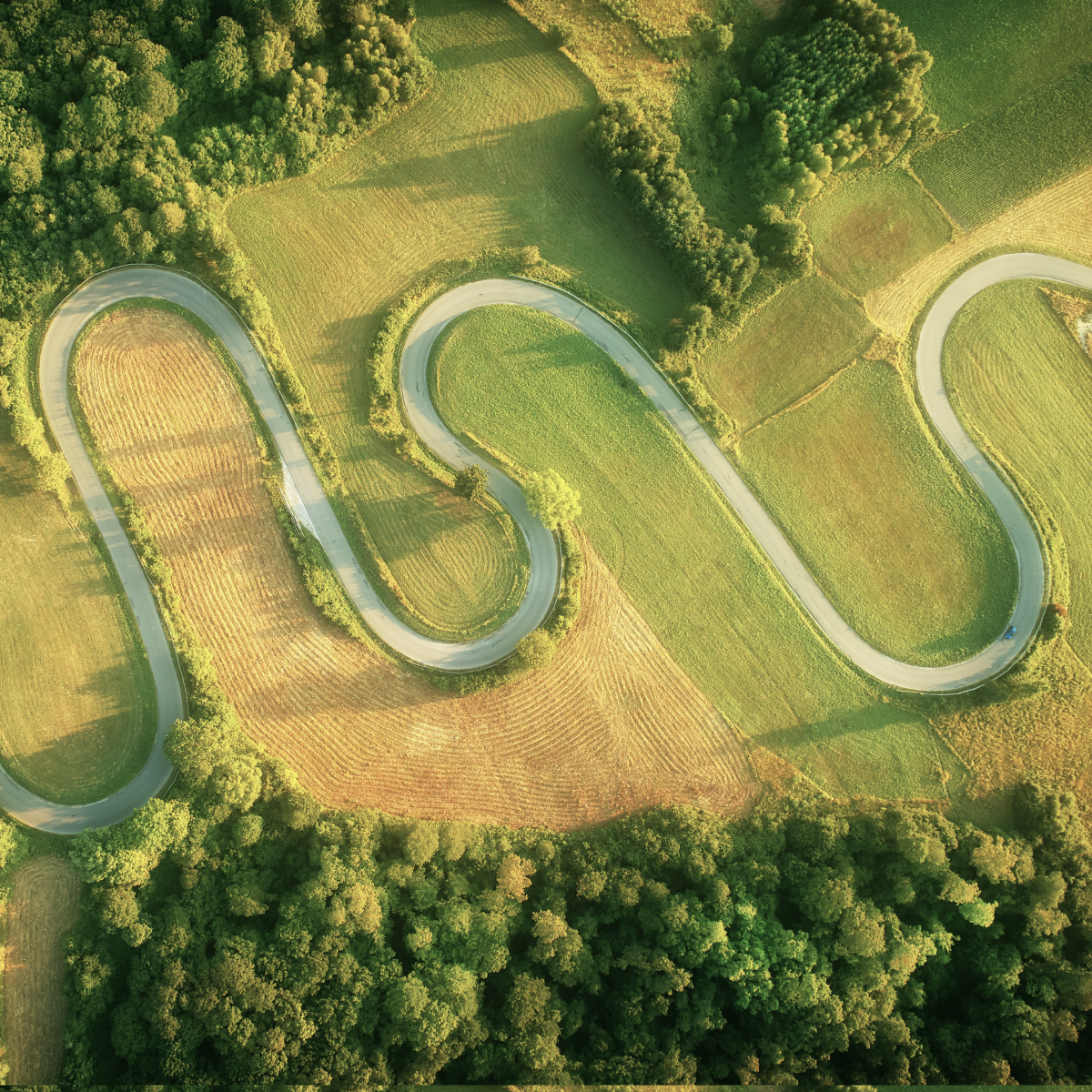 Curved road in nature