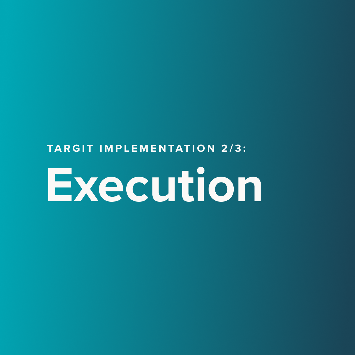 TARGIT Implementation Part Two: Execution